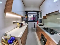 Blk 310B Punggol Walk (Punggol), HDB 4 Rooms #247186751